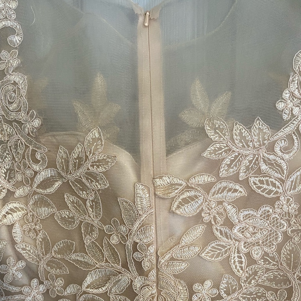 Dancing Queen Cream Blush Floral Lace Illusion Gown - Picture 5 of 6